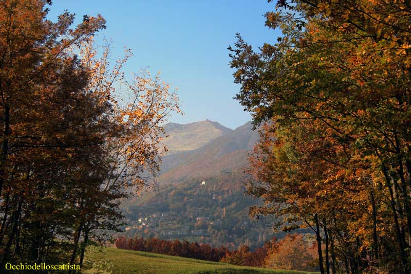  Image name: 01-monte cimone.jpg 
 width: 800 pixel 
 height: 533 pixel 
 Size: 95683 bytes 
 Click to enlarge 